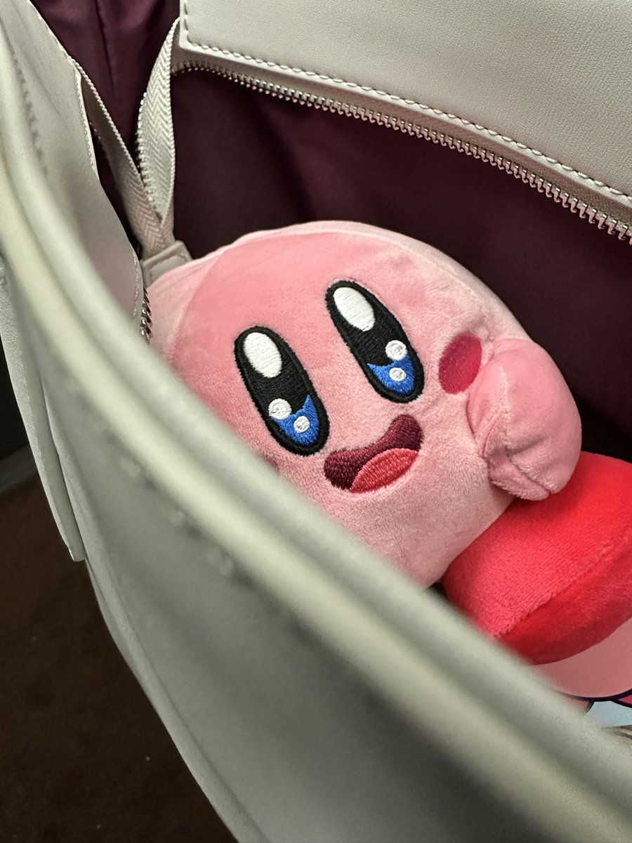 カービィちゃんとれた😊
カバンの中に潜んでるのかわいすぎる(デカイ)