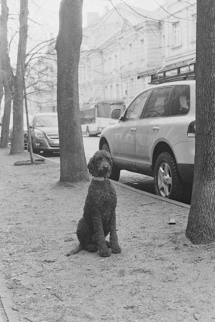 3/1-3/31 (물고기 마음, 해적방송) mulgogi.net/archives/27226