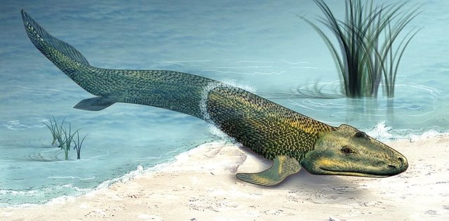 Unikraken tweet media