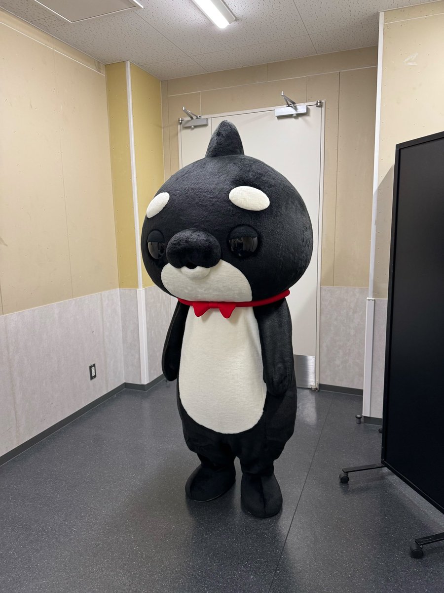 MNS_staff's tweet photo. 【緊急】しゃちょうが、今から「ほめほめカフェ」の様子の視察に来るようです…

スタッフ一同も緊張しております💦 https://t.co/ngHfPsQgVu