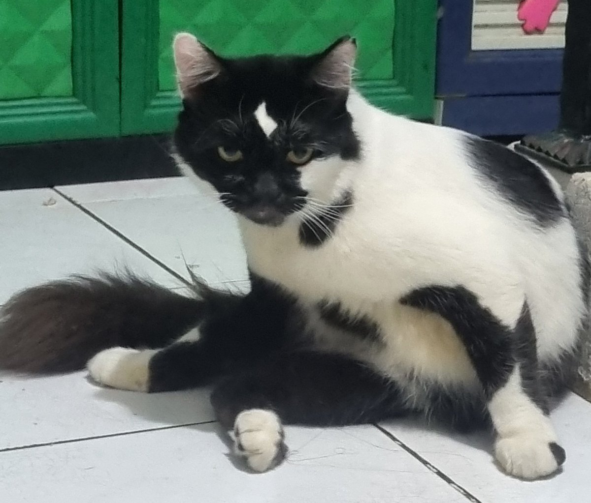 Selamat pagi