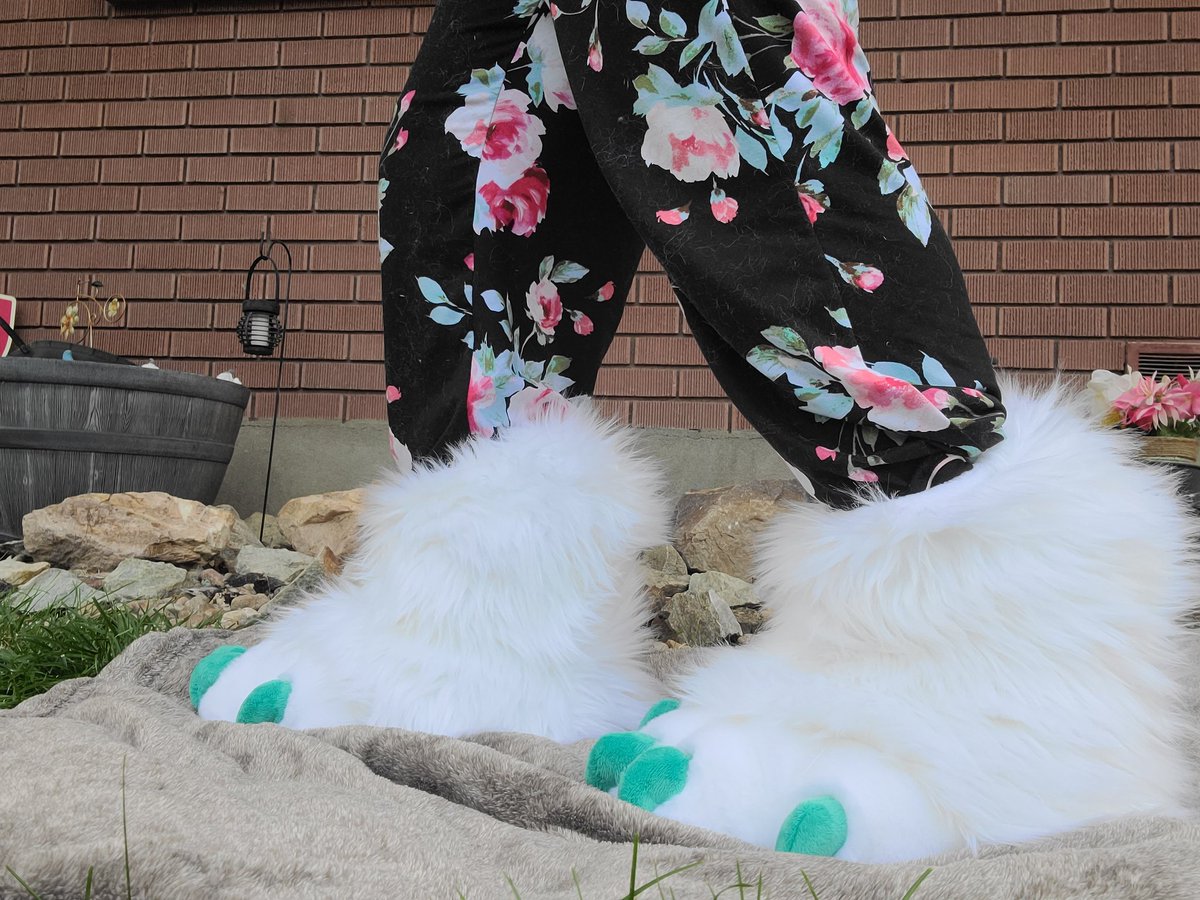 Dream_Creatures's tweet photo. I got the very first commissioned feet paws finished!!! They're made for @T4NN1S_ and I just adore the seafoam claws and beans! https://t.co/gMlZhda69y