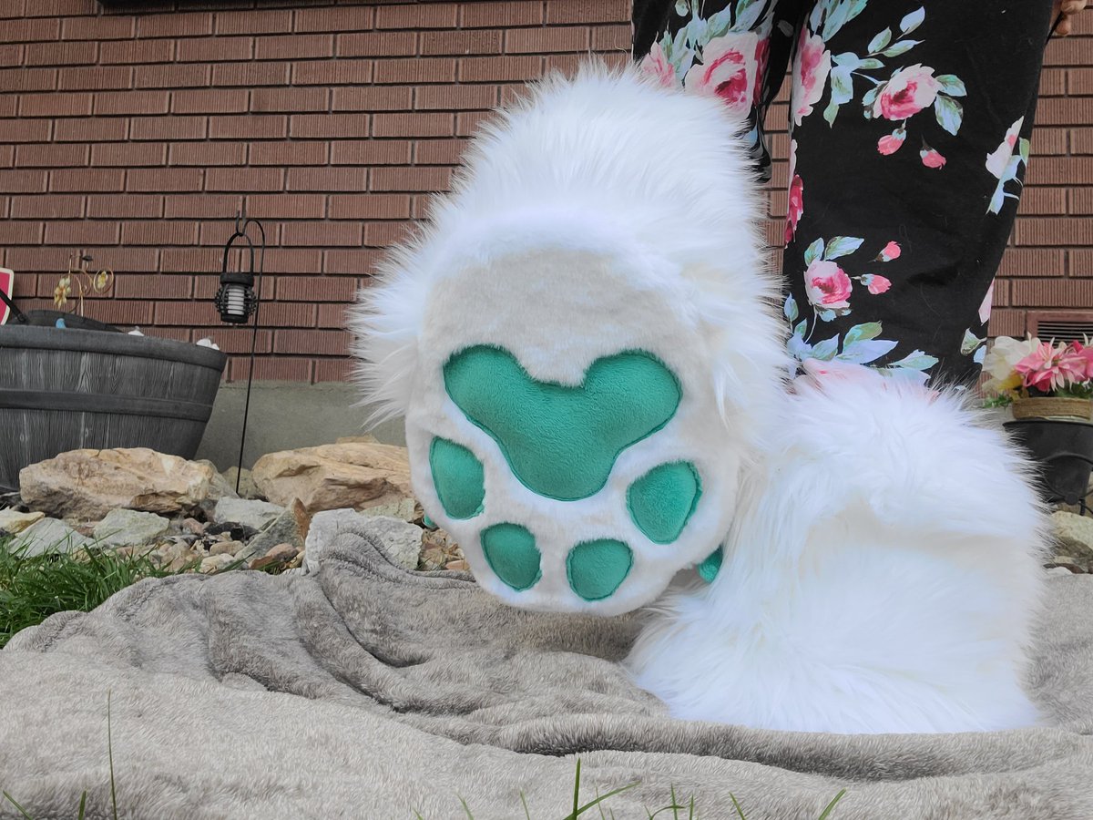 Dream_Creatures's tweet photo. I got the very first commissioned feet paws finished!!! They're made for @T4NN1S_ and I just adore the seafoam claws and beans! https://t.co/gMlZhda69y