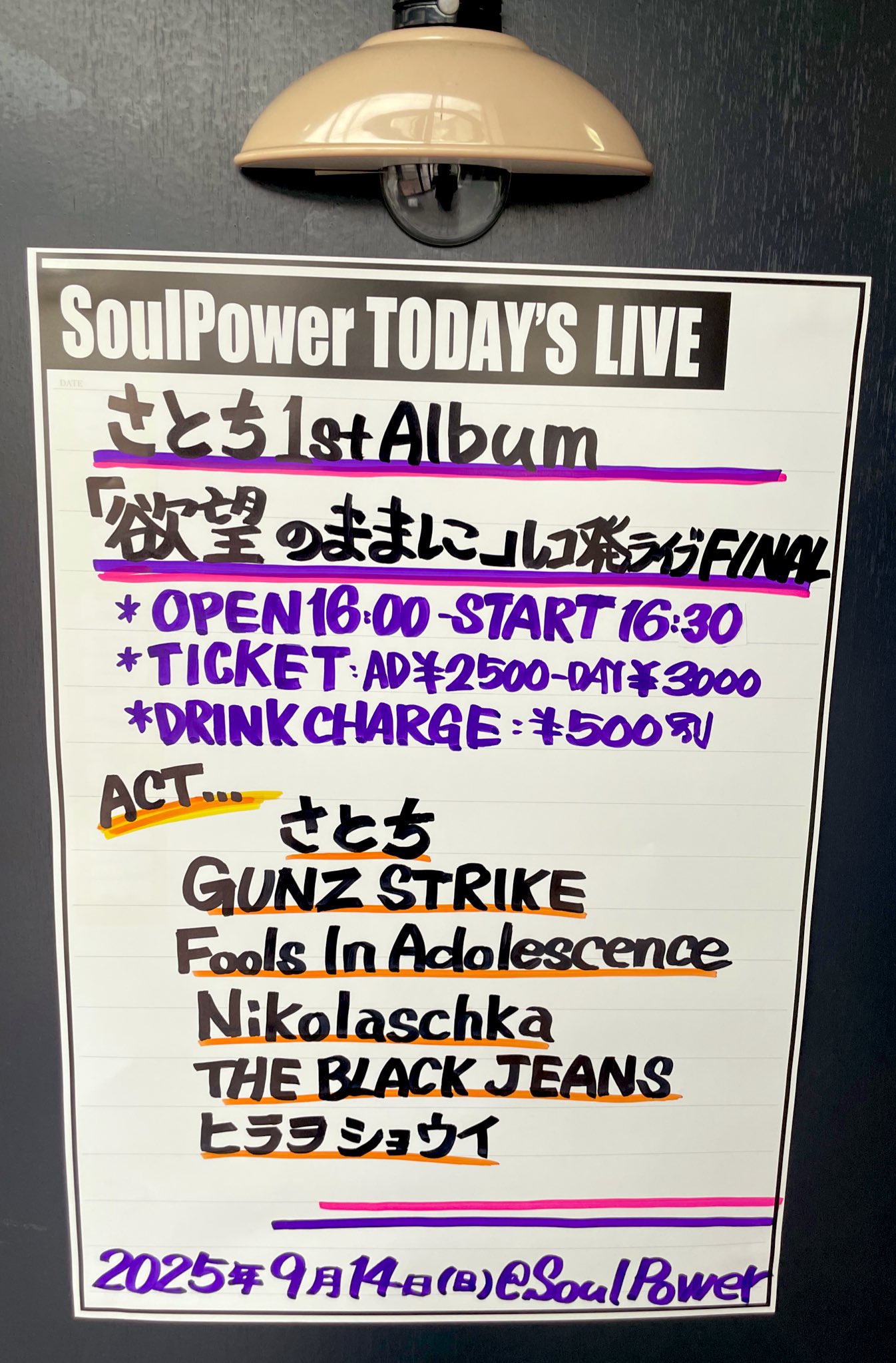日本盤】PSYCHO'S PATH JOHN LYDON ポスター付き 日本盤