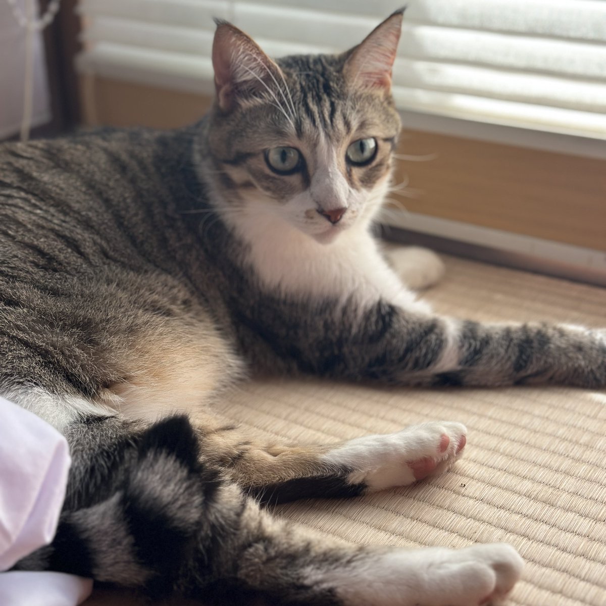 田舎良すぎる