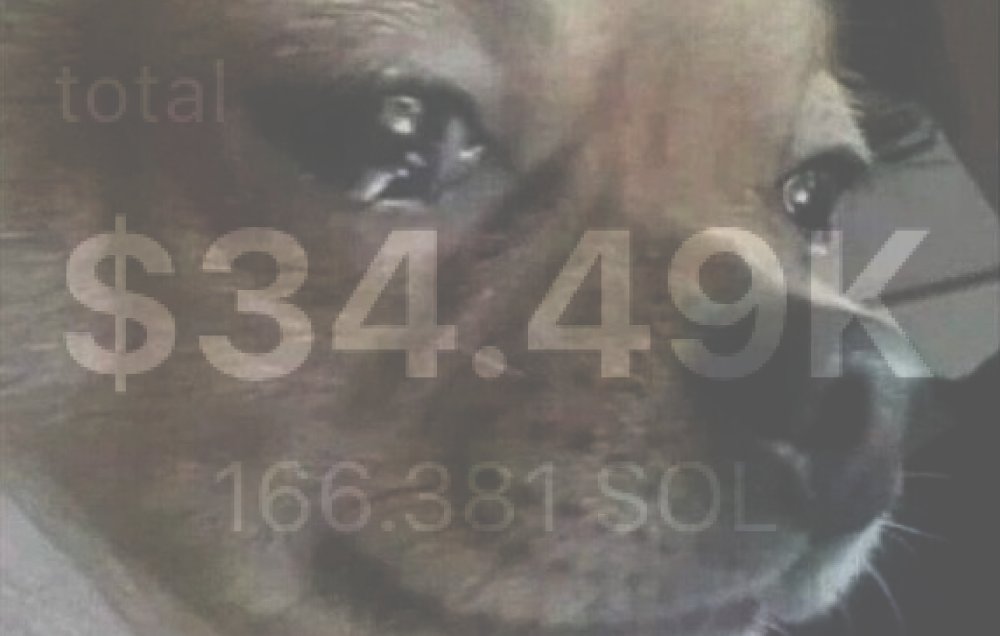 when bro finds out his coin wasn't launched on printed.wtf