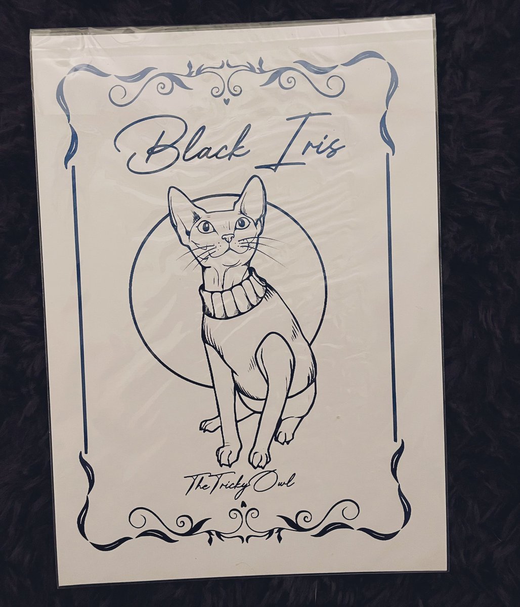 𝕂 𝕪 𝕝 𝕚 𝕖 🌼🦋 (WIP: ch 7) tweet media