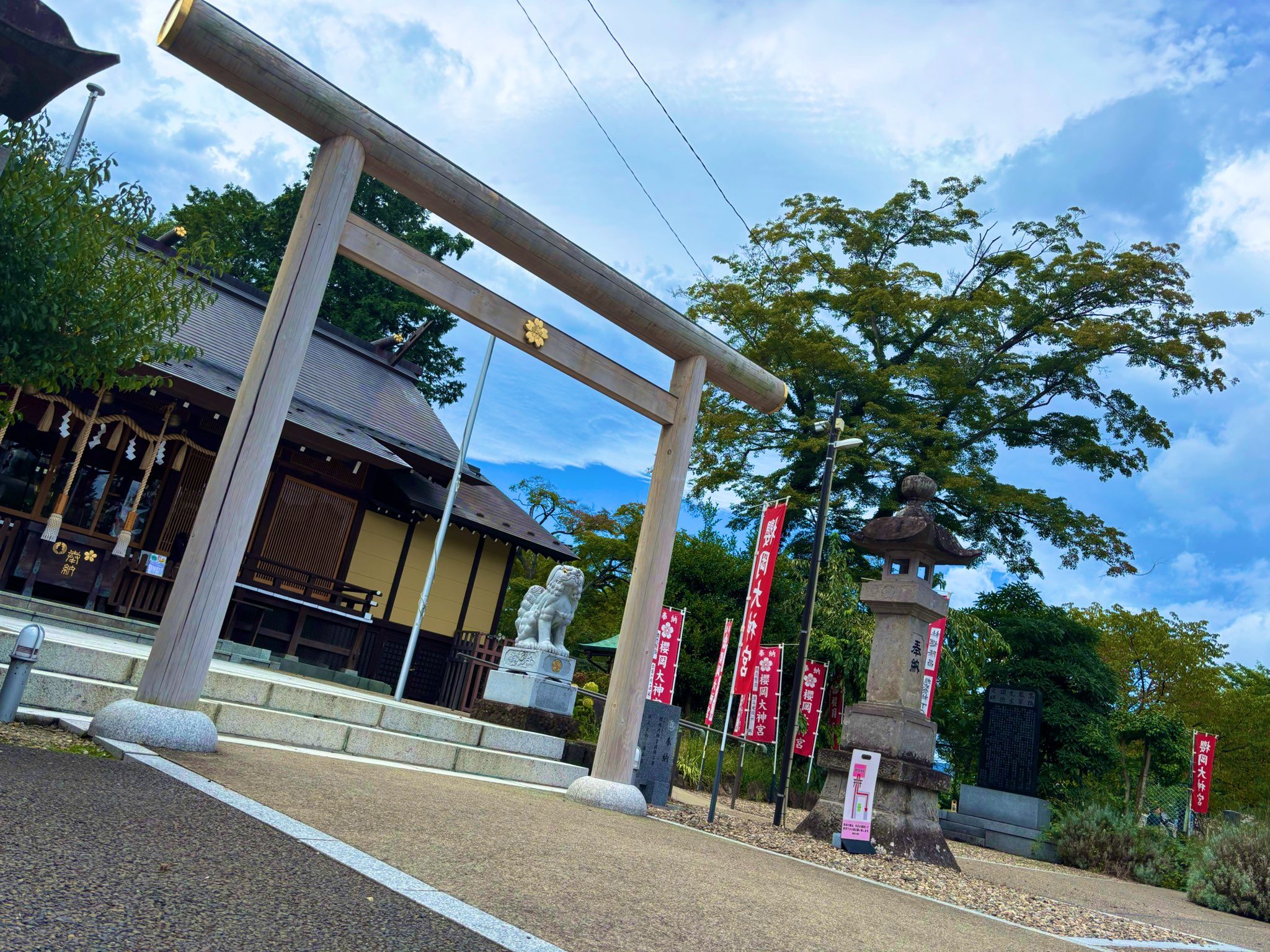 岡宏、名残の桜、希少な画集より、新品高級額・額装付、状態良好 オンラインカタログ（落札結果）｜SBIアートオークション
