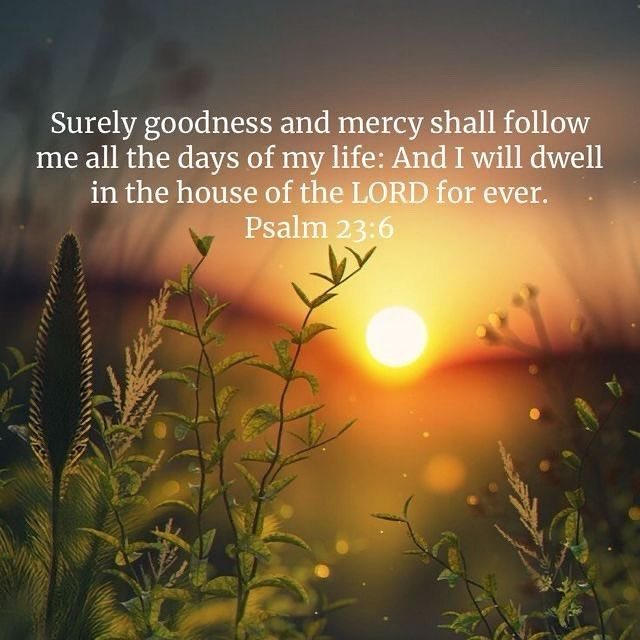 JesusChristsGod's tweet image. Psalm 23:6
6 Surely your goodness and love will follow me
    all the days of my life,
and I will dwell in the house of the Lord
    forever.