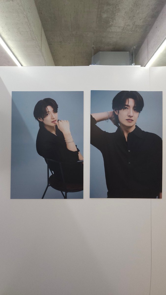 매력호이 tweet media