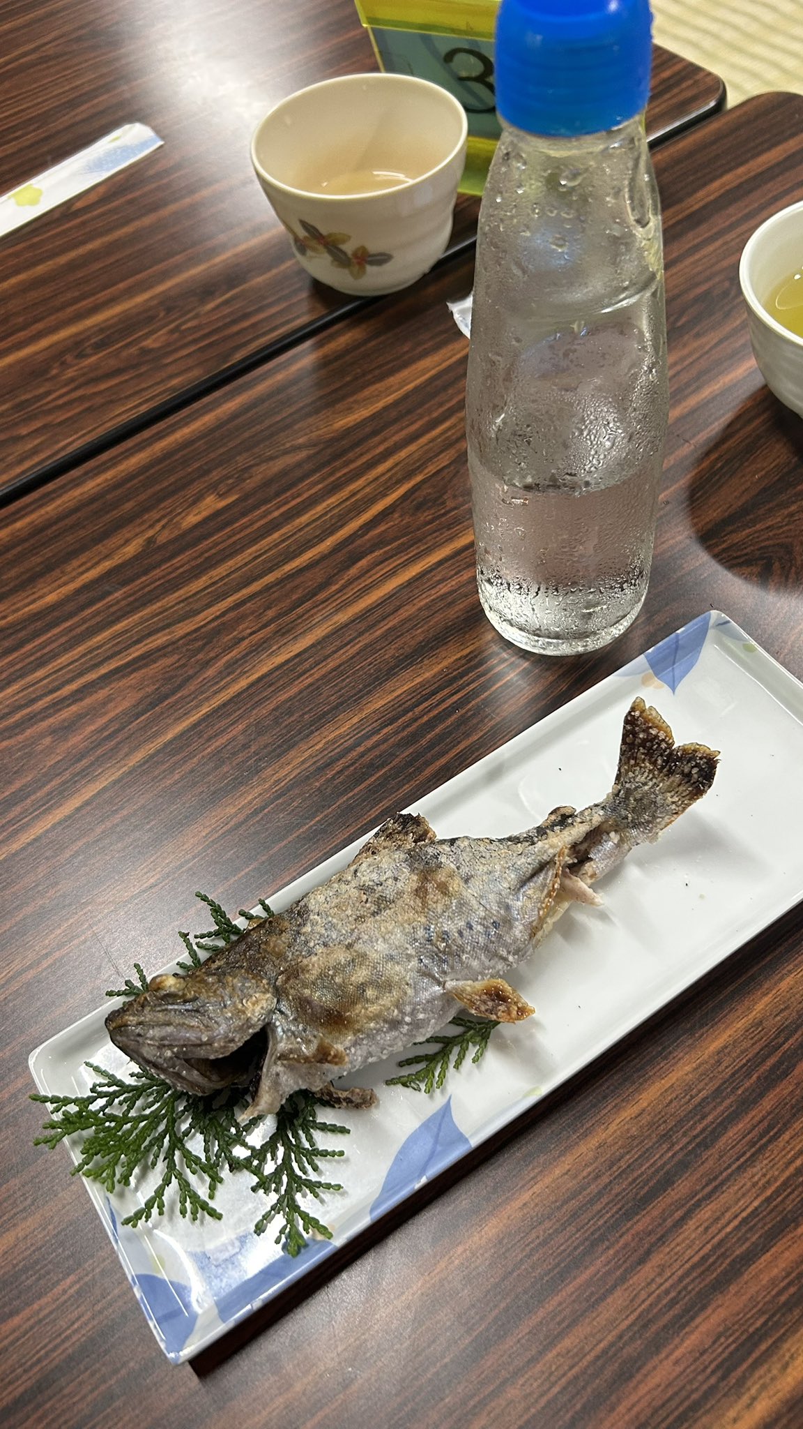 meru ページ 諸伏高明[ID:0506_CT-D09-017_D] - マスターズスクウェア通販