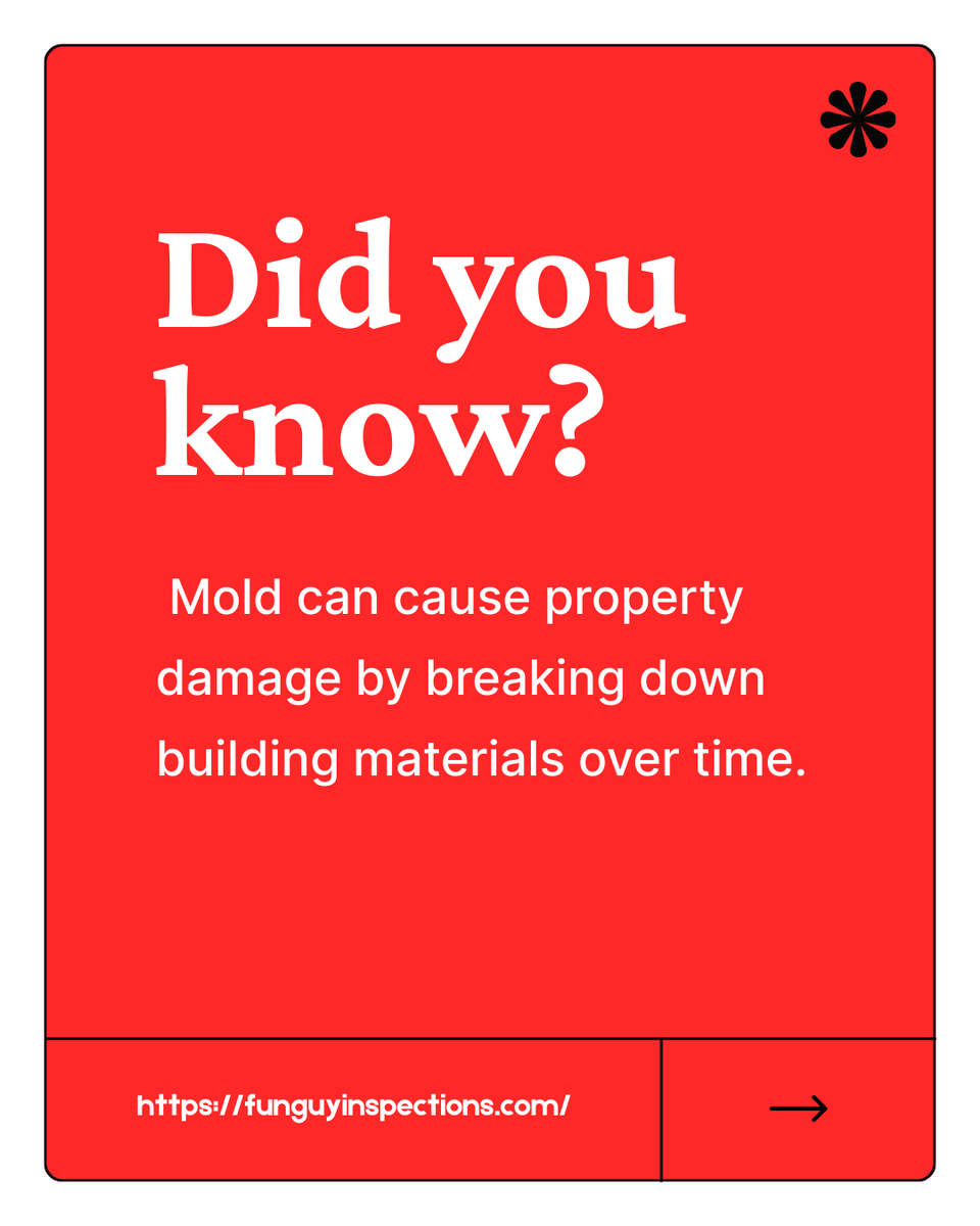 Inspect4molD's tweet image. Caption: Protect your home investment 🏠. Fun Guy Inspections and Consulting helps stop mold before it damages what matters. #HomeCare #MoldControl