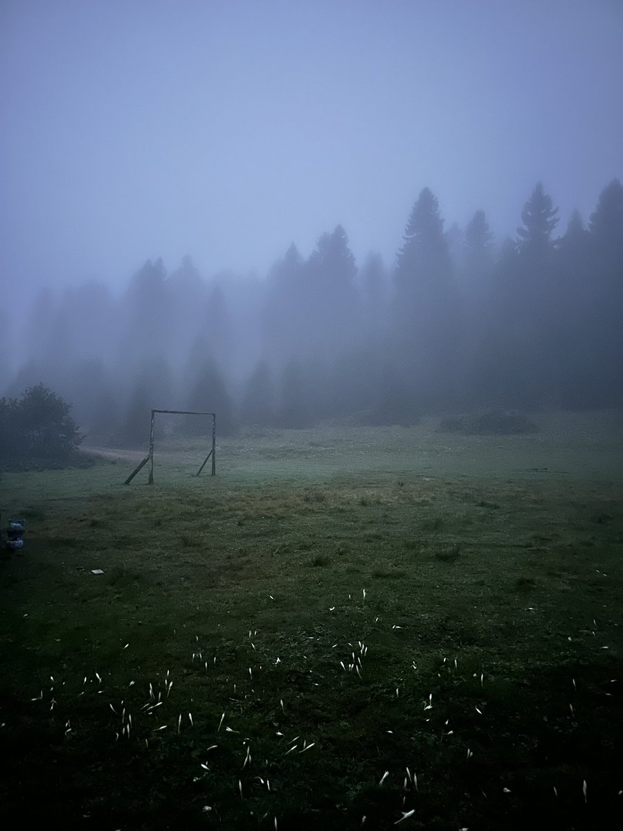 YusufKocinn's tweet photo. Cennet Çaykara 🖤
#trabzon #çaykara #dogadakal https://t.co/0pSdW84FJg