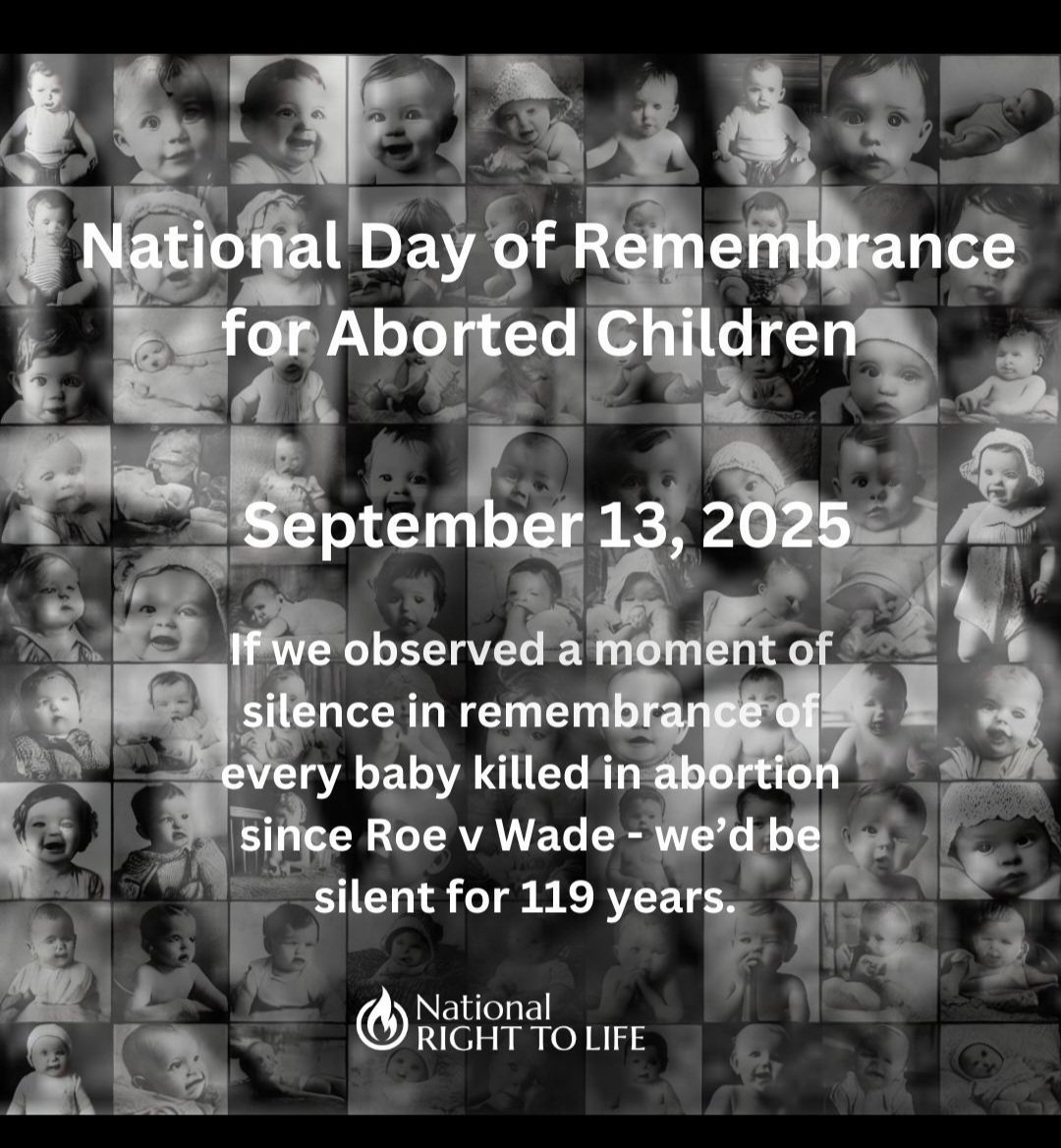 PLPROfficial's tweet image. 