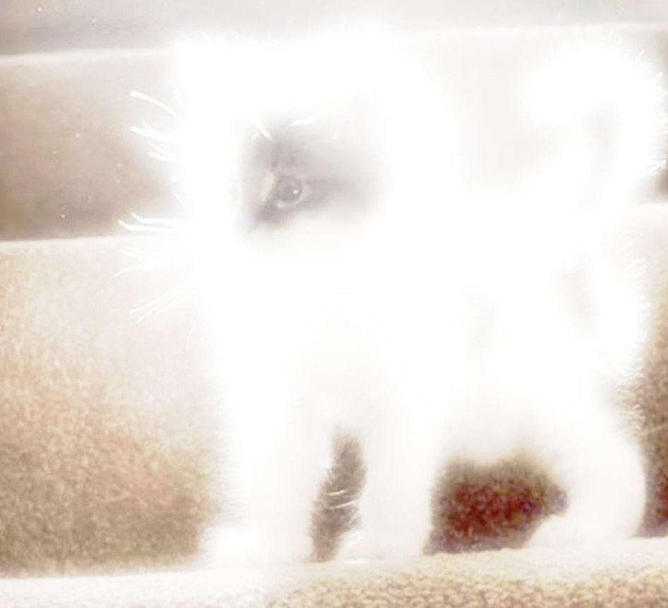 aethaeus's tweet image. I believe he will catch the light