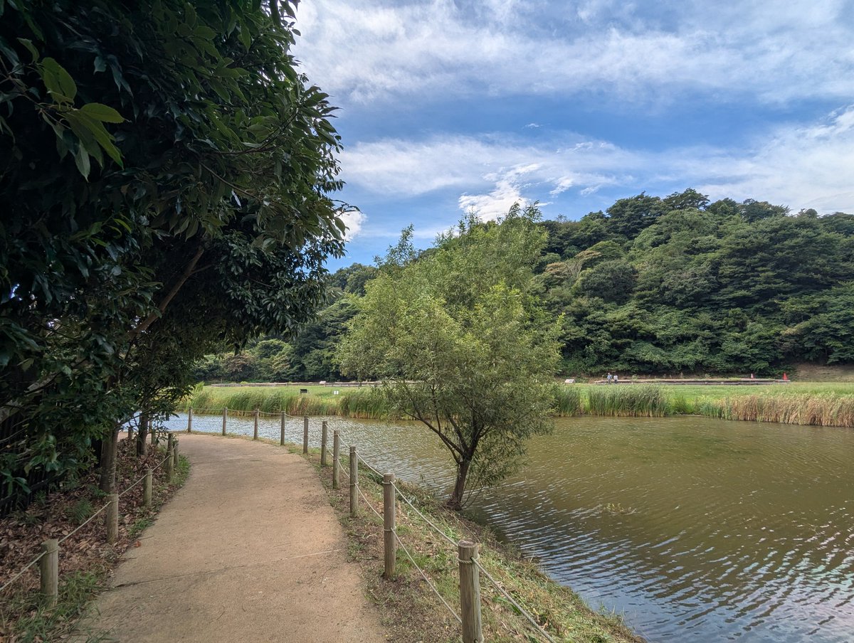おは永福寺跡

今朝の鎌倉は曇り時々晴れ
気温は30度となっています。

少しずつ秋めいてきている鎌倉です。

今日も1日笑顔で！

#鎌倉PRESS #鎌倉プレス #永福寺跡 #今日の鎌倉 #鎌倉日暦 #鎌倉毎日天気

↓今日の暦と運勢↓
koyomil.com/y25m9d14/