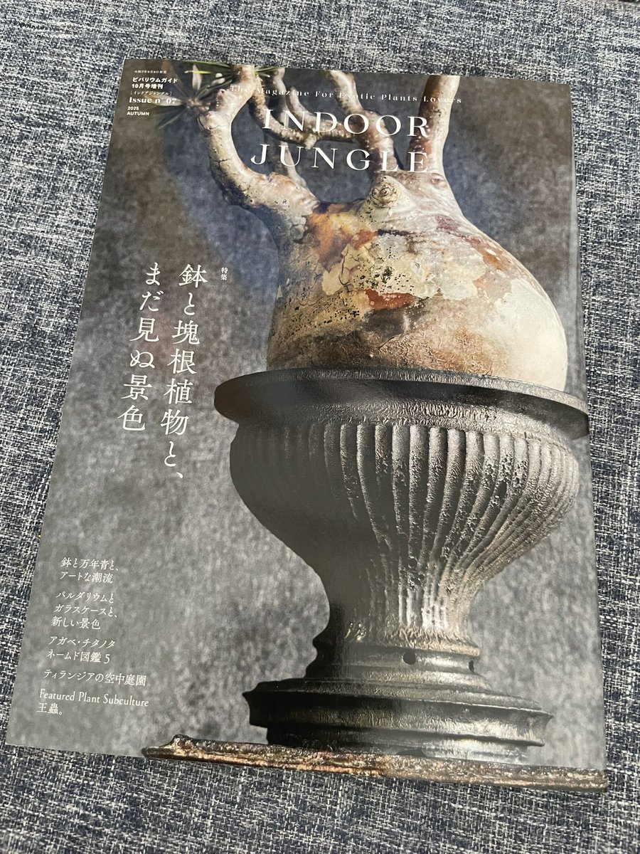 kukuninikotacha's tweet image. これはたまらん1冊です(´﹃｀)
万年青とユーフォルビア
作家さんの素敵鉢
パキポディウムやその他色々
大好きな編みぐるみ作家の王蟲。さん
の作品も色々拝めた🙏✨️

 #INDOORJUNGLE