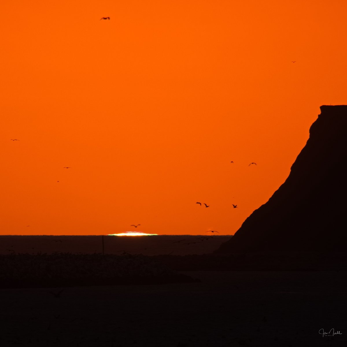 Jan Null tweet media