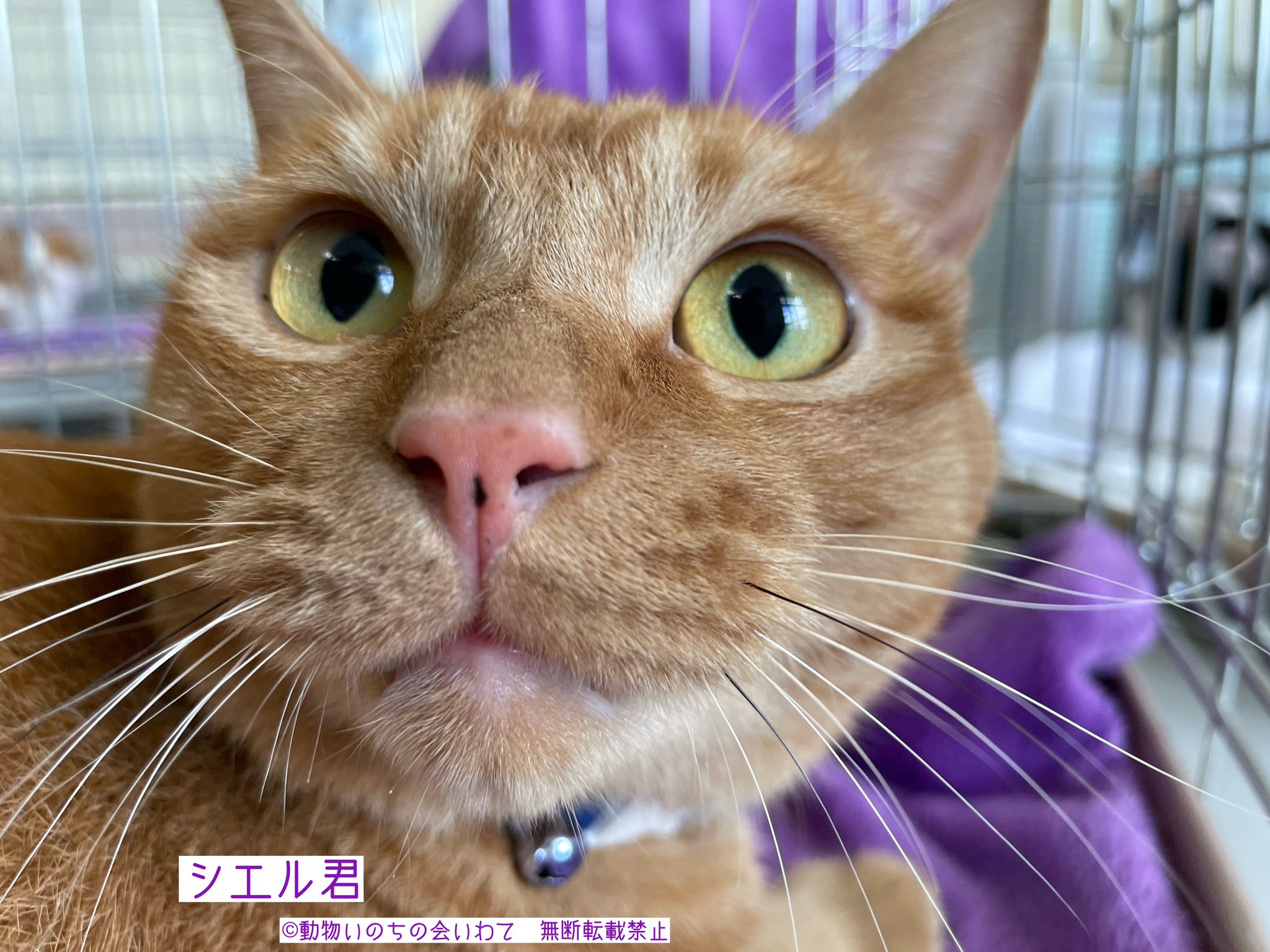 いちごみかん (@GBfwNhFh9PJuz5W) / X