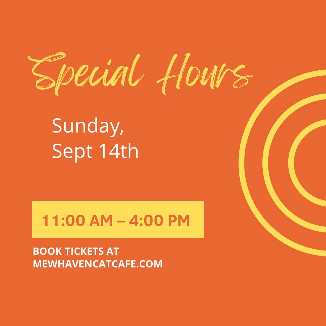 Special hours! We’re open 11am-4pm on Sunday 9/14. Make sure to book tickets on mewhavencatcafe.com/book and hang with our kitties before two get to go to their forever home ❤️