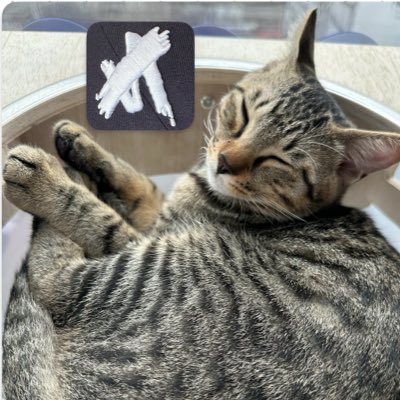 #新しいプロフィール画像