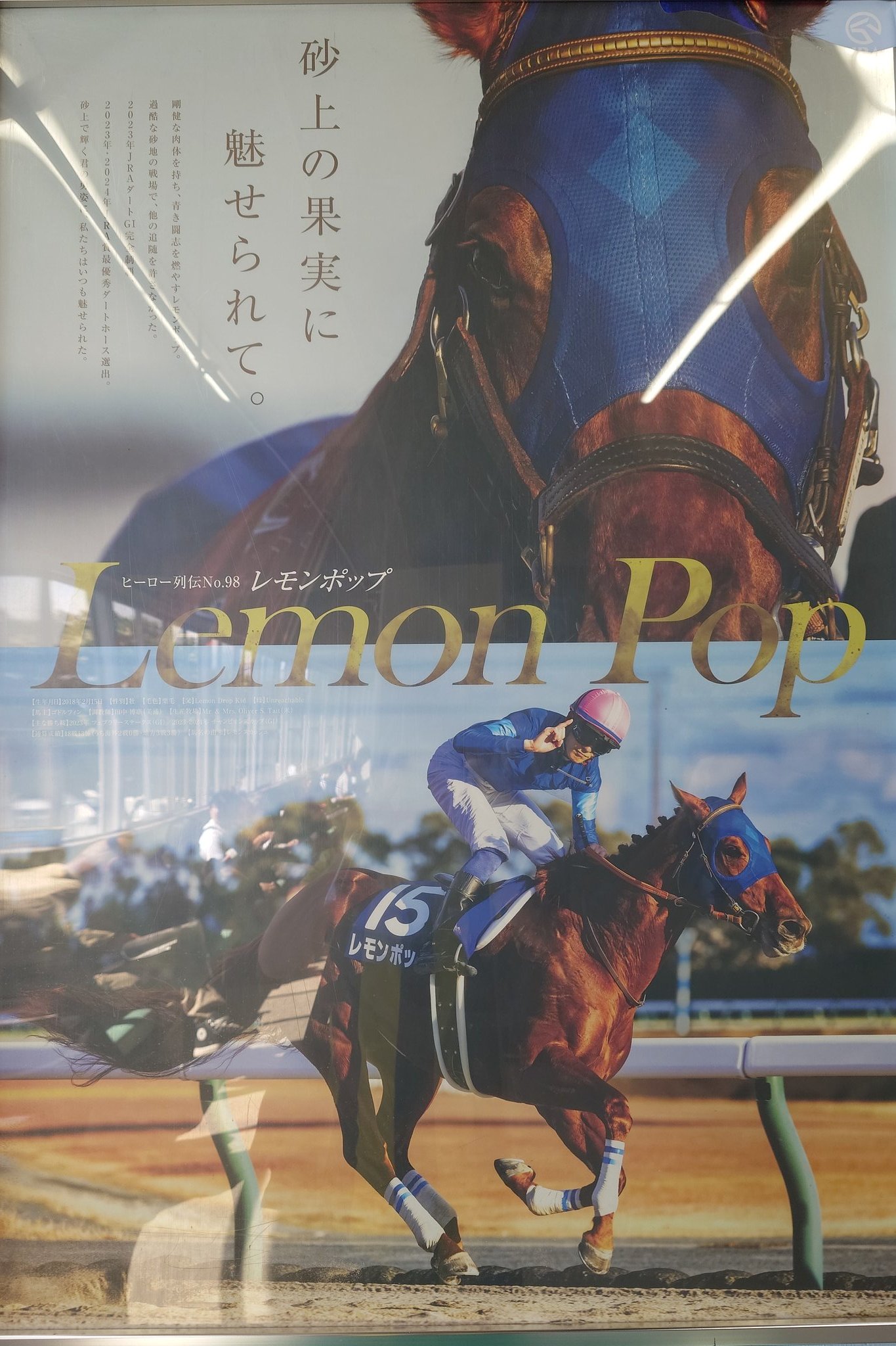 JRAポスター　レモンポップ KOH (コー)🐴一口馬主生活24年 on X: 