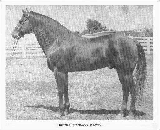 JAIME (@ja19793) on Twitter photo 