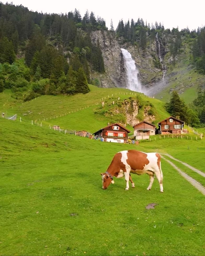 I love Switzerland