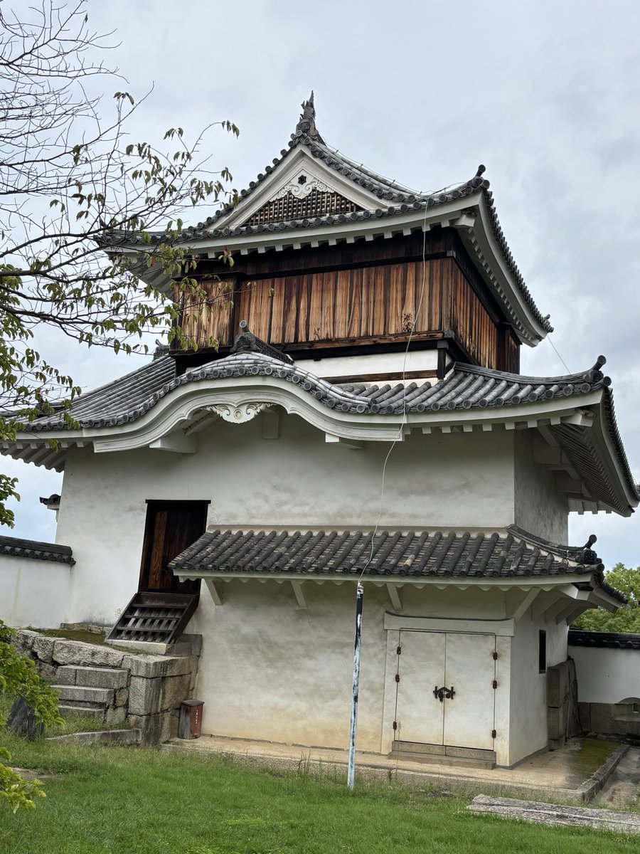 eel_farm's tweet photo. 何回も岡山県来てるのに初の岡山城。まずは巨石がおでむかえ。漆黒の天守に金の鯱がめちゃくちゃカッコいいですね。宇喜田、小早川、池田の三城主の物語も面白すぎます。月見櫓は趣きがあってよきですね。
#日本100名城 https://t.co/YloVhkvZ5t