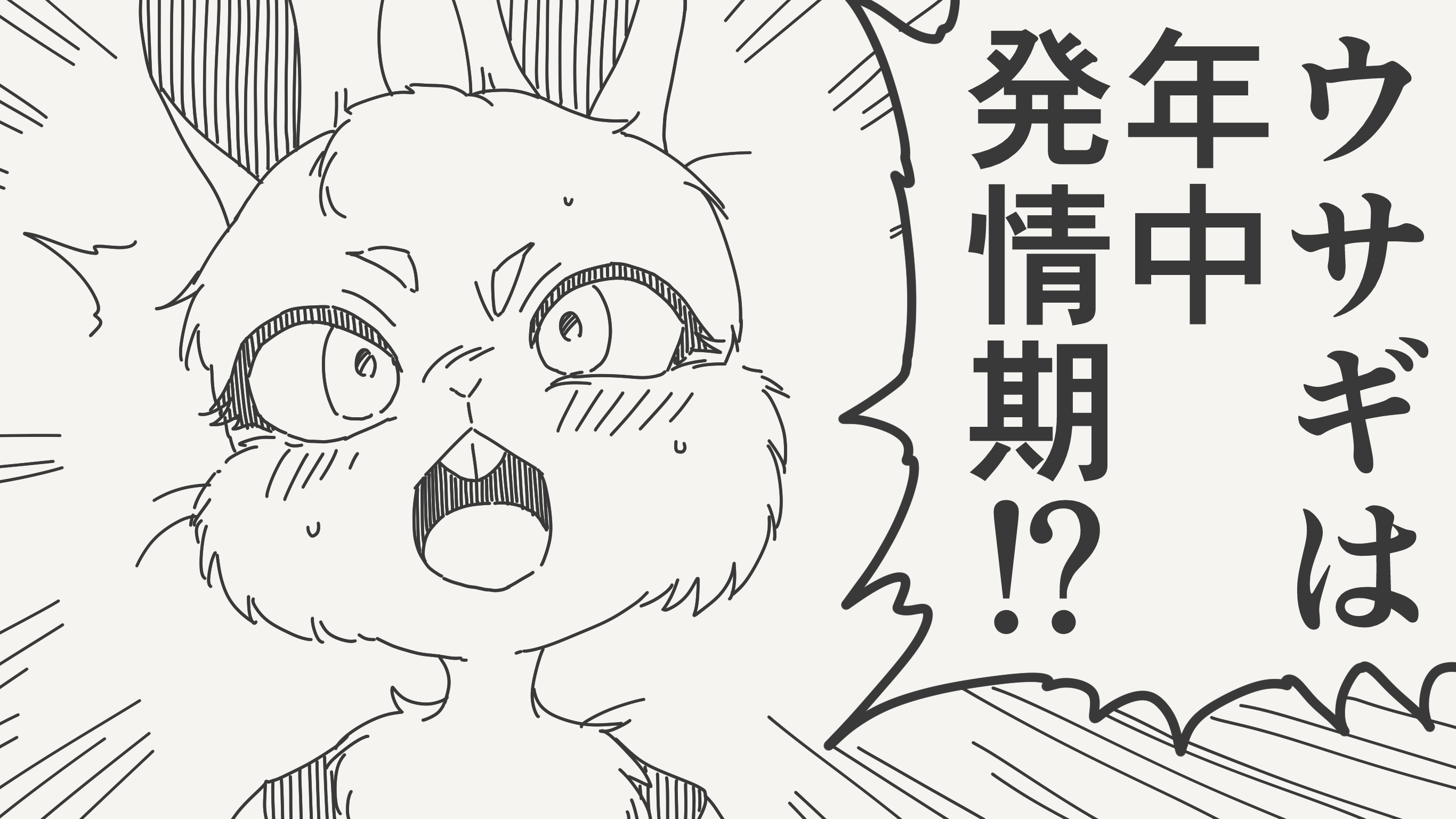 まぐ太 (@magmag) / X