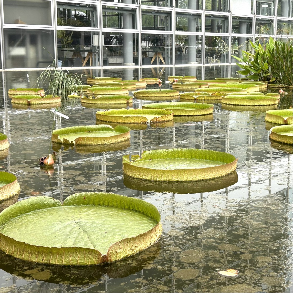 Found your Heaven? tweet media