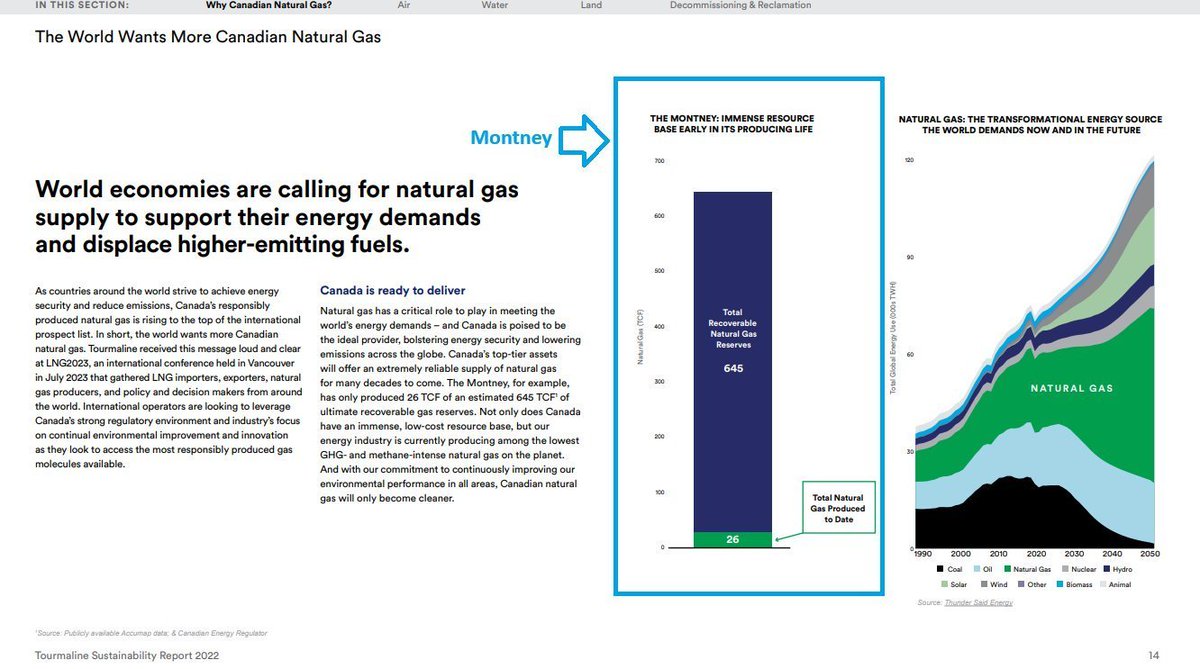 LNG QE 🇨🇦 tweet media