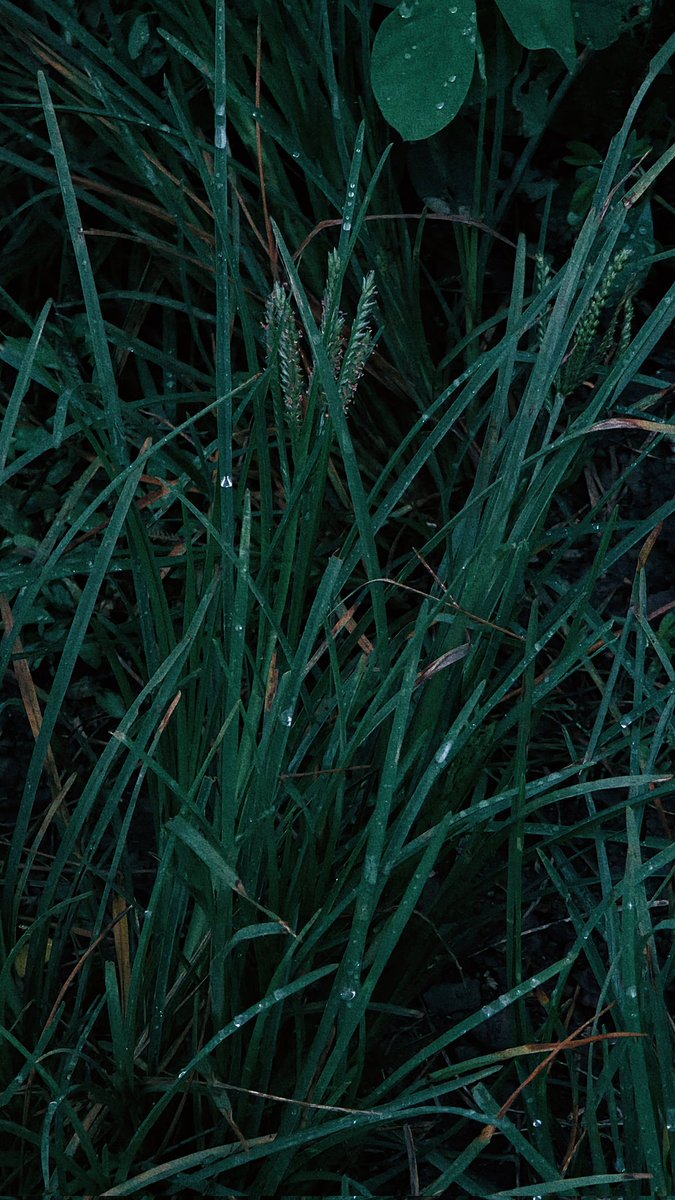 Green. #SamsungGalaxyS25Ultra #Samsung