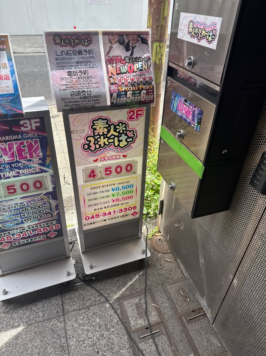 素人ふれーばー