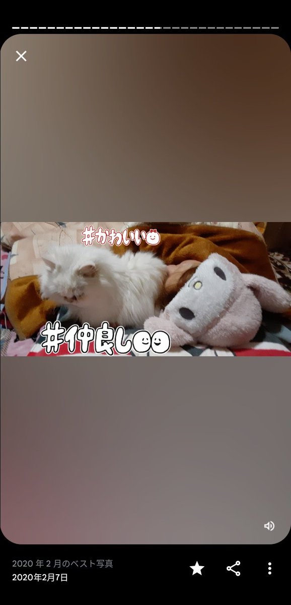 にゃんさん mofusand もふもふジャーニー 大きめサイズステッカー(監督