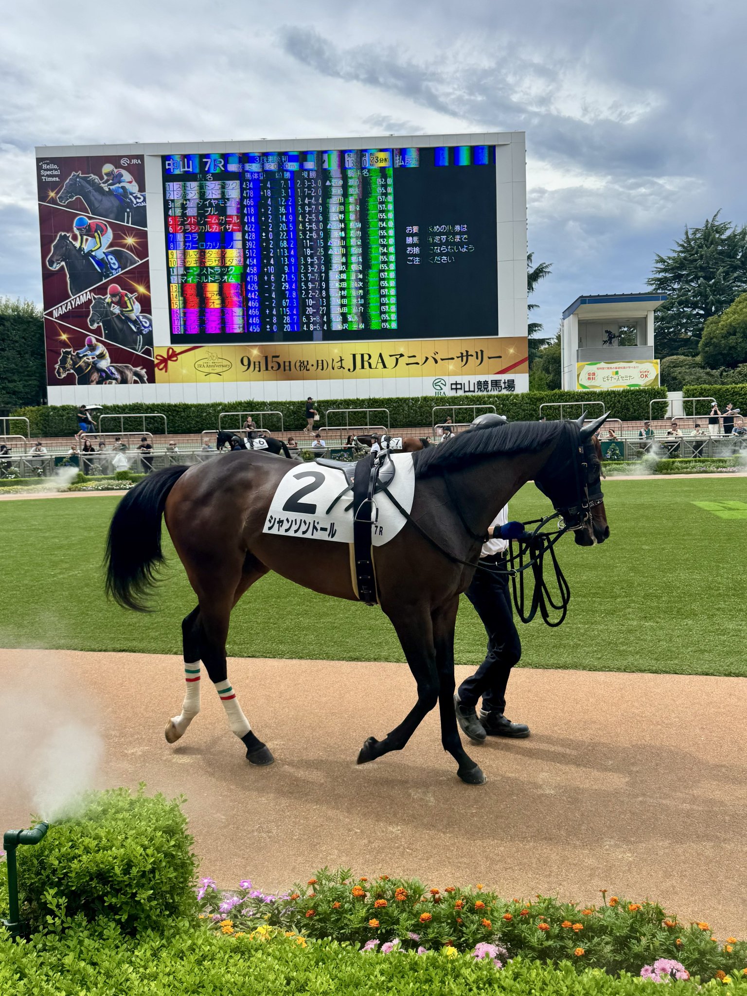 競馬の極み X2DQ6YFUV5JWLCMHDQ52ZKCELA.jpg