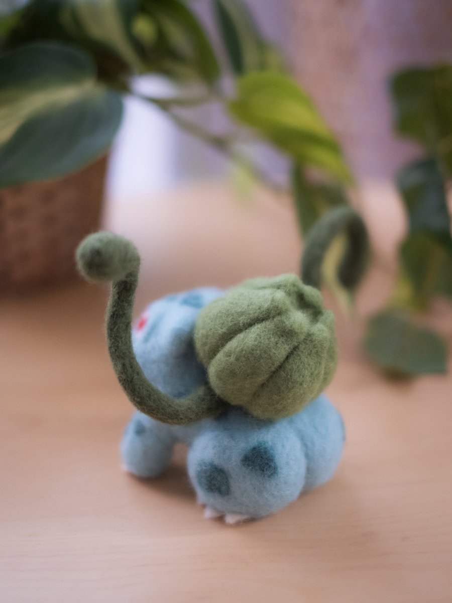 Daurélia 🌻 tweet media