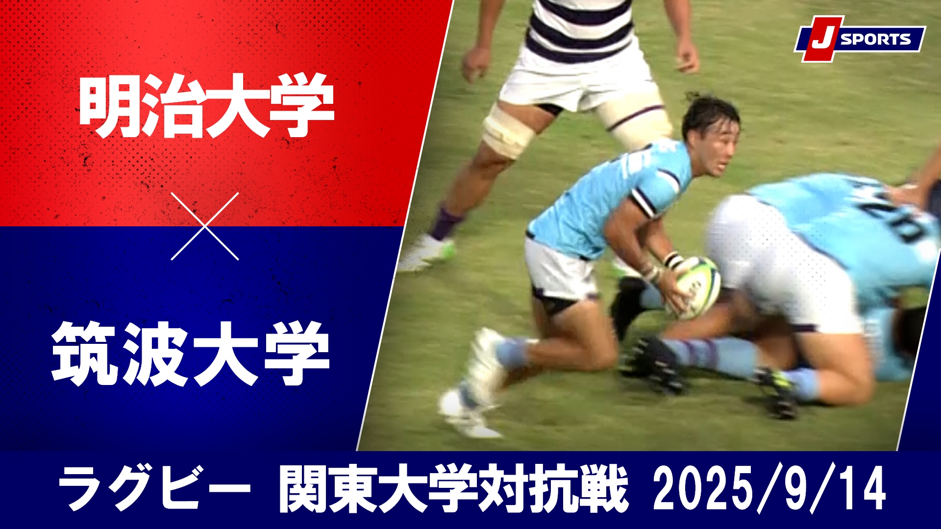 関東学院大学ラグビー試合用セット 関東学院大学ラグビー試合用セット 2025年最新】関東学院大学