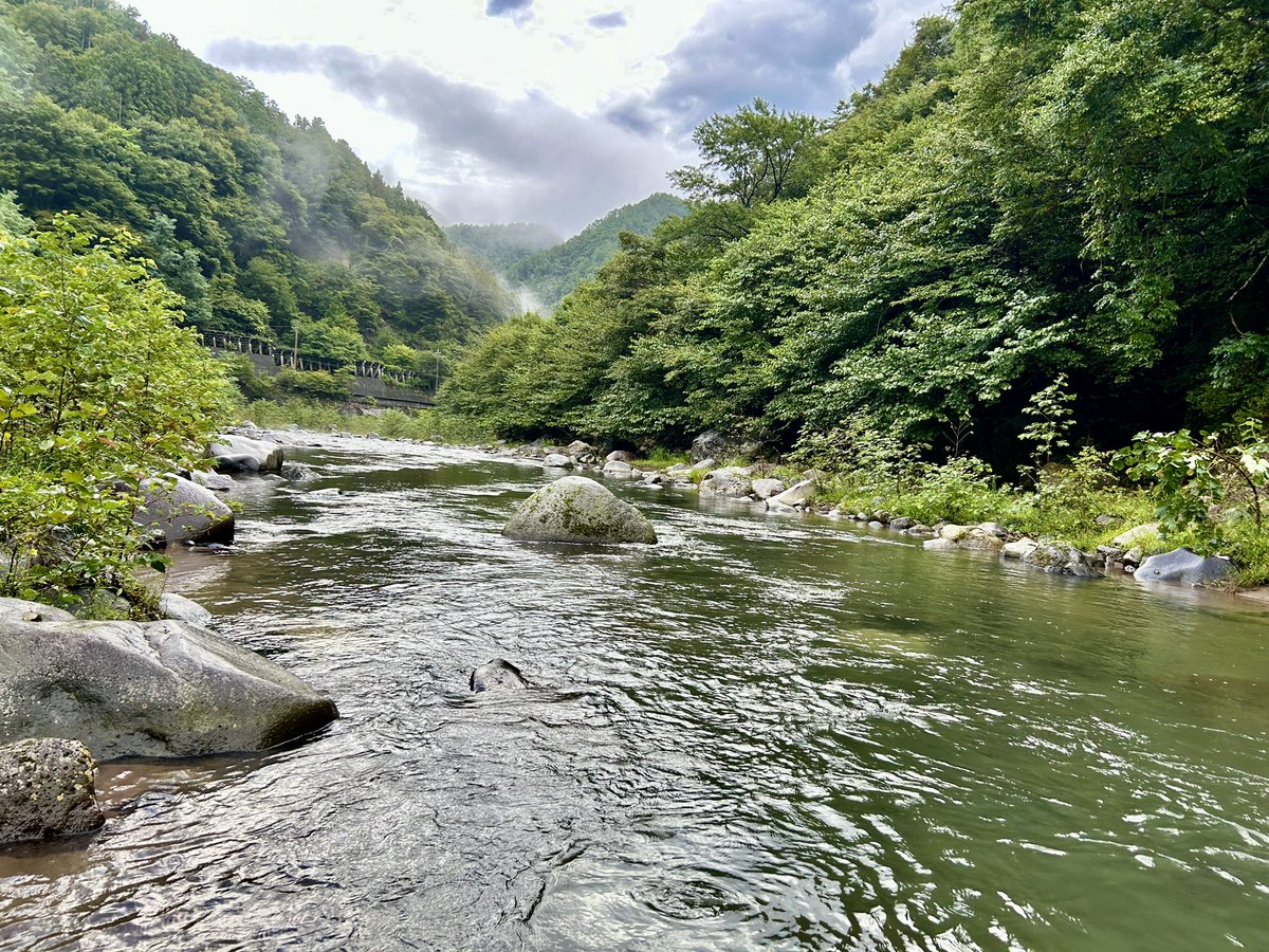 narikigreenline's tweet photo. 昨晩車中泊で早朝から鬼怒川上流を探ってみた
小1時間で３匹のヤマメが上がった
水量は昨晩の雨で多く寝不足もあり久しぶりに川でコケた😭
疲れもピークに達したので早々引き上げて黒部温泉四季の湯に浸かり冷えた体を戻した♨️
#ヤマメ
#鬼怒川
#栃木黒部温泉 https://t.co/bSqQk4scmK