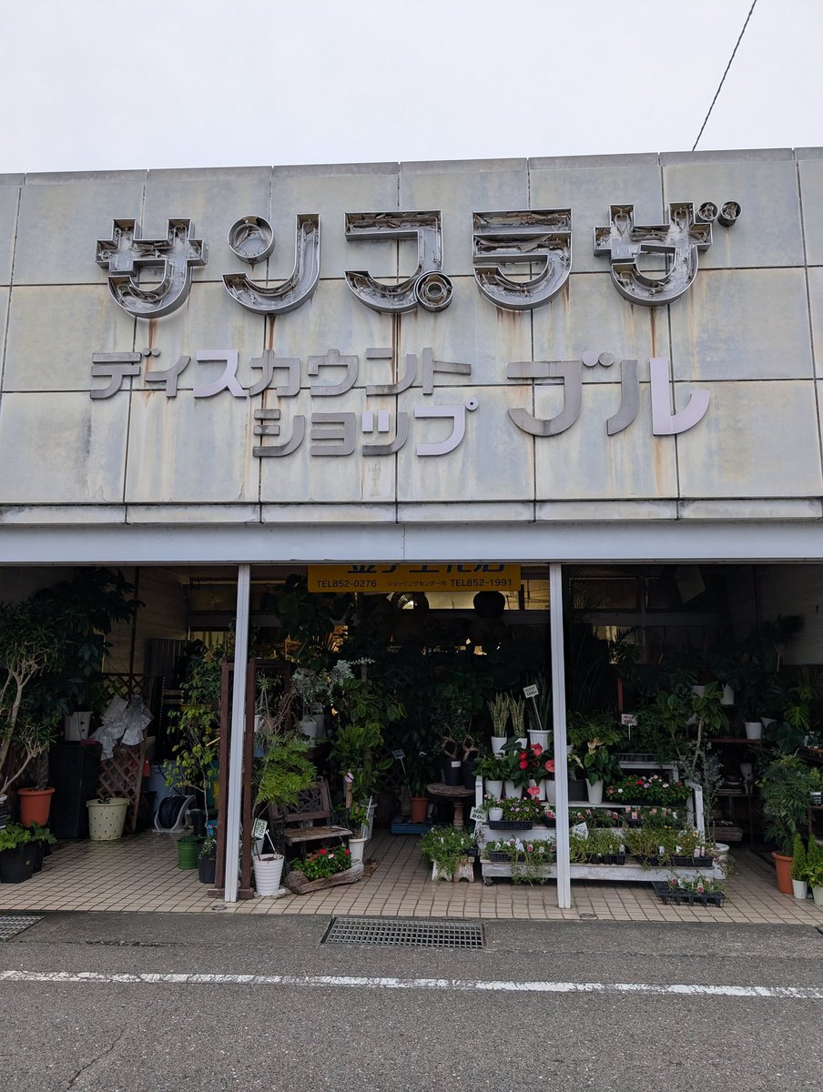 昨日から喉の痛みが出て風邪かな？と葛根湯を飲んだら眠いわだるいわ😫
本日完全休養日と致します
雨以外でのウォーキングしない日は初かも
今まで１日もサボってなかったワイ偉い！と思うことにして休みまする
（写真は昨日撮影した転用物件の金子生花店さん。元パチ屋ではなくスーパーでした）
