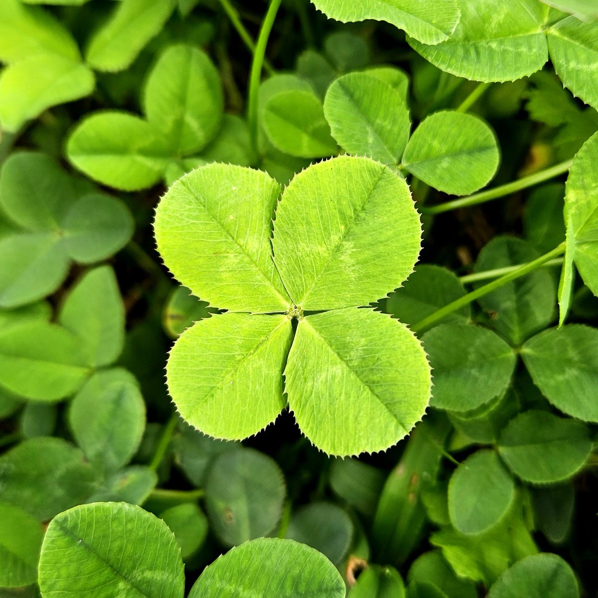 또숨🍀 tweet media