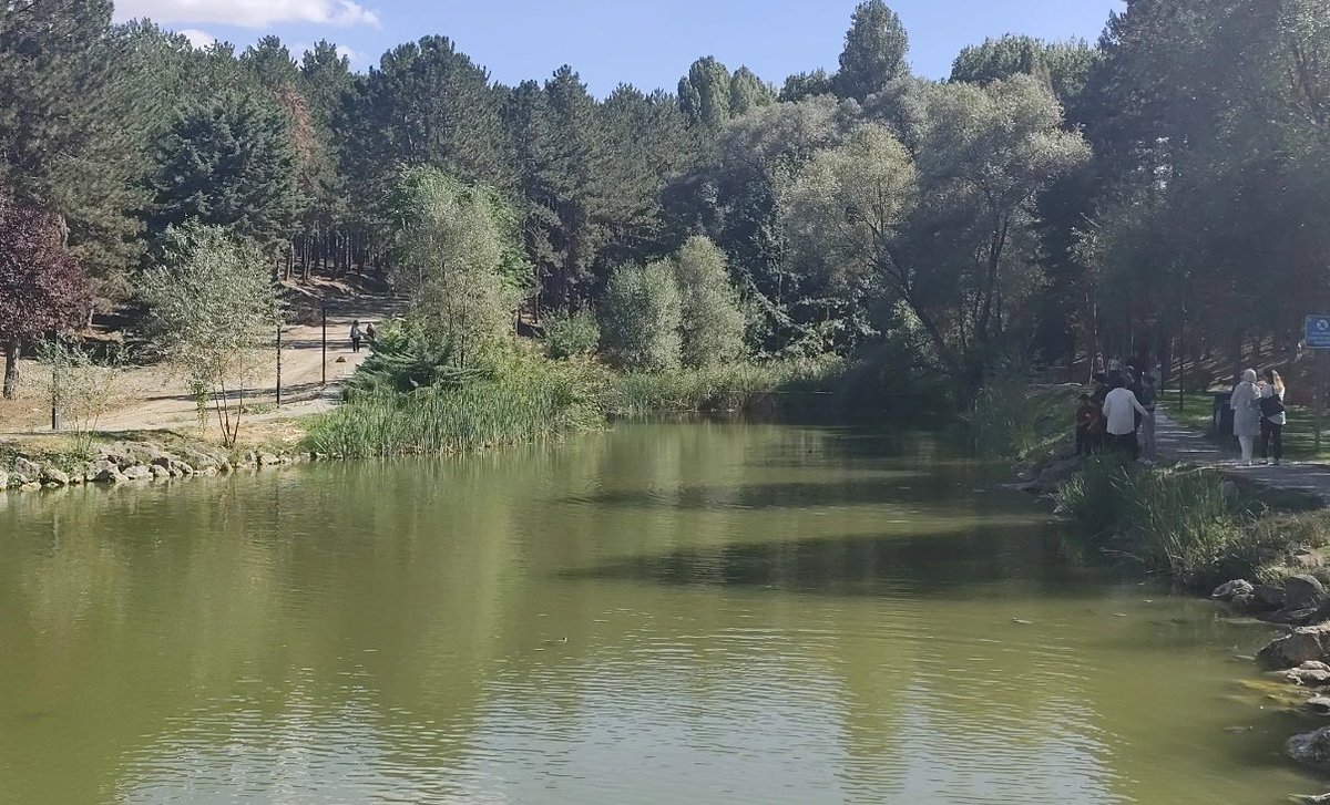 hacettepe, yeşil vadi.