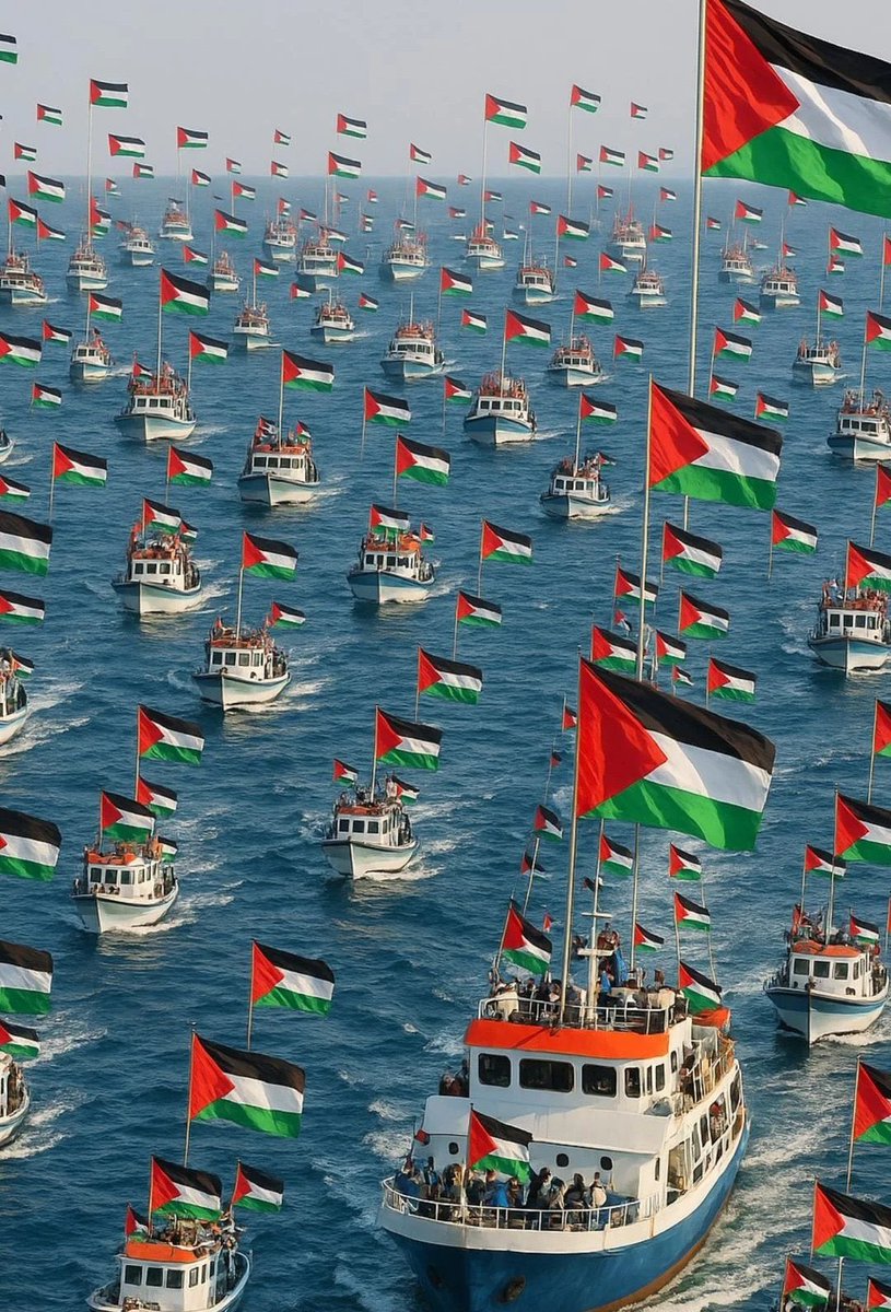 İspanya'dan kalkan 22 tekne, Tunus'tan Gazze'ye doğru yola çıktı. Tunus, İtalya ve Yunanistan' dan kalkan tekneler de filoya katılacak. 🇪🇭 🇪🇭 🇪🇭

#SumuduSavun 
#SumudForGaza 
#LetSumudGo