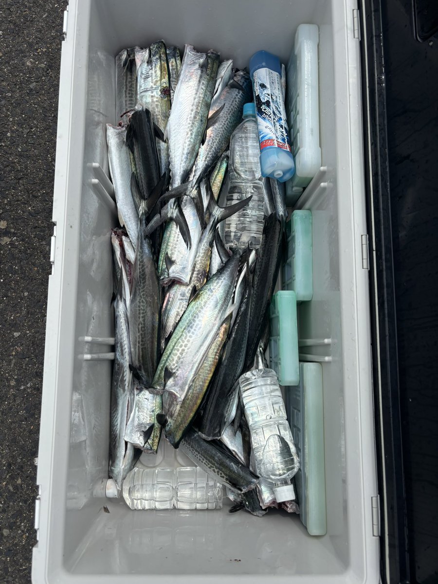 皆さんクーラー満タン