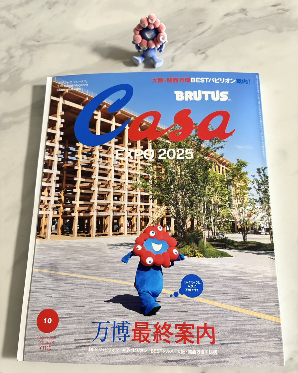 大阪・関西万博 EXPO2025 少年と大屋根リングポスター B2大判サイズ 大阪・関西万博 EXPO2025 少年と大屋根リングポスター B2大判