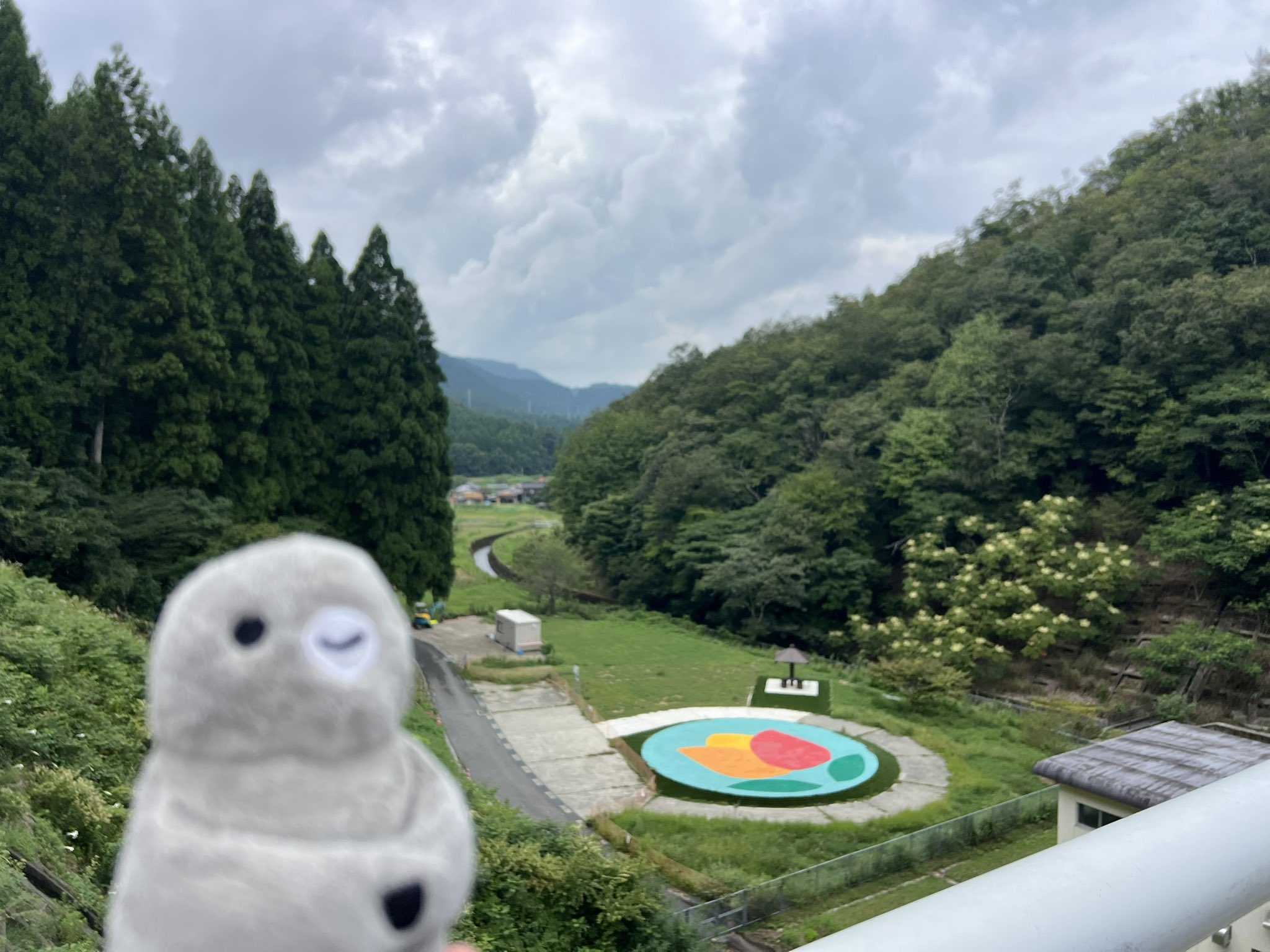 ぺンぎンちゃんページ Amazon.co.jp: Fridgeezoo HOGEN ペンギン 【方言 京都】 FGZ-PG