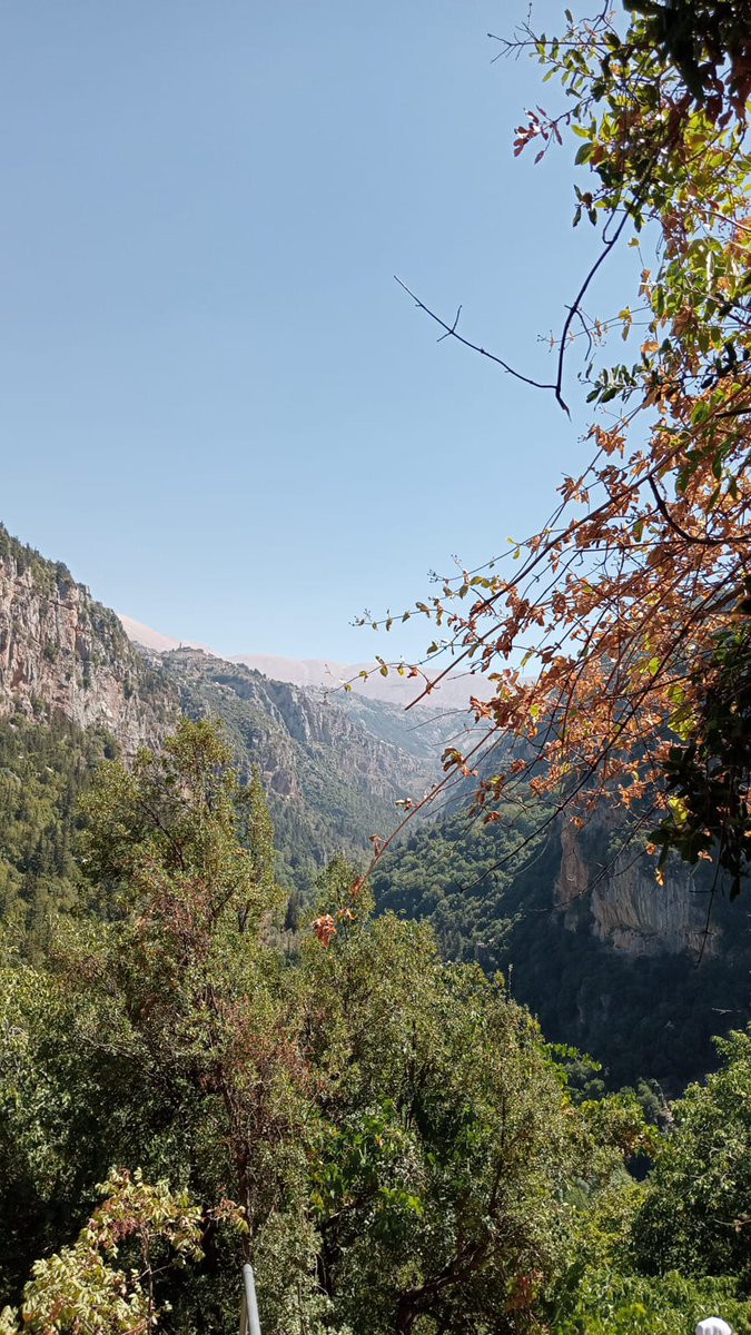 sophiedbouk's tweet photo. من حصرون ل وادي قنوبين https://t.co/tHJzLPNyVl