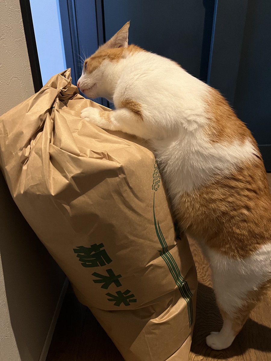 新米キター😆😆😆