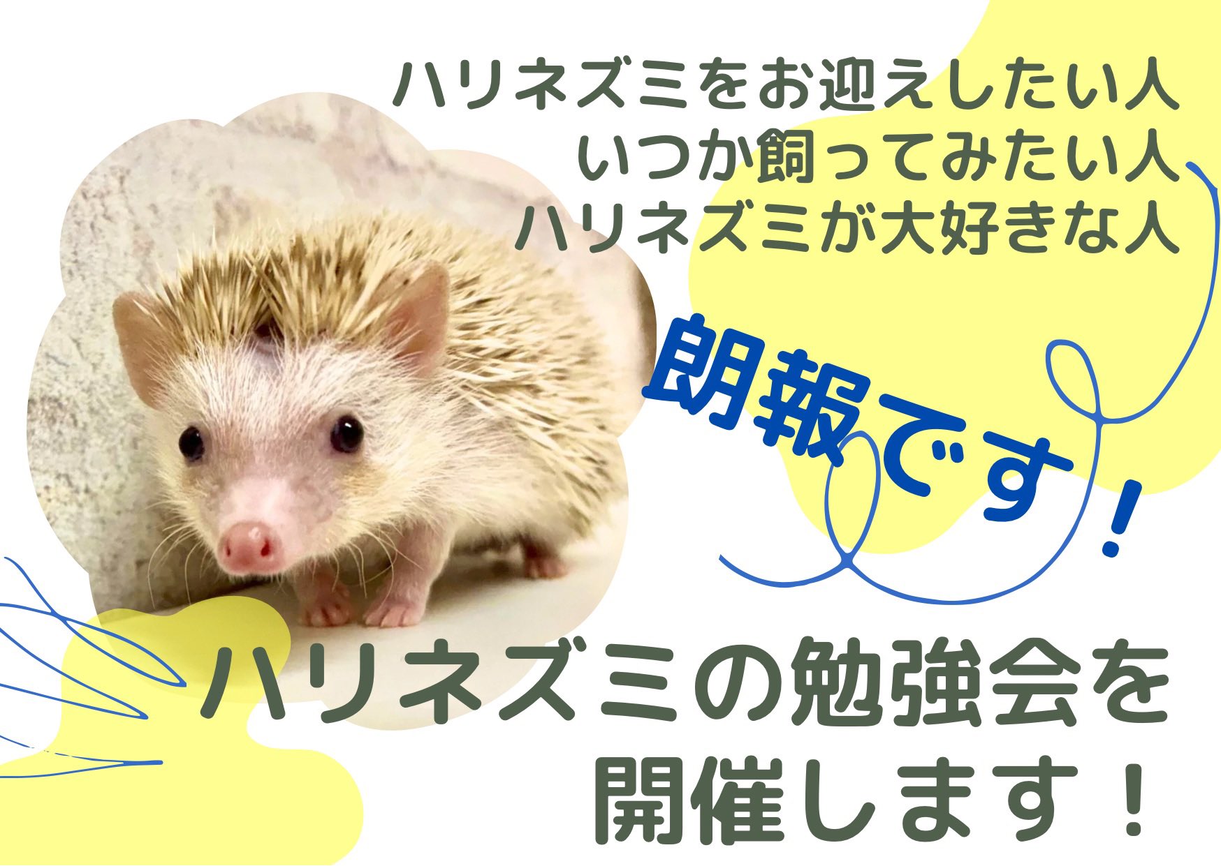 Hanami (@hanami0620) / X