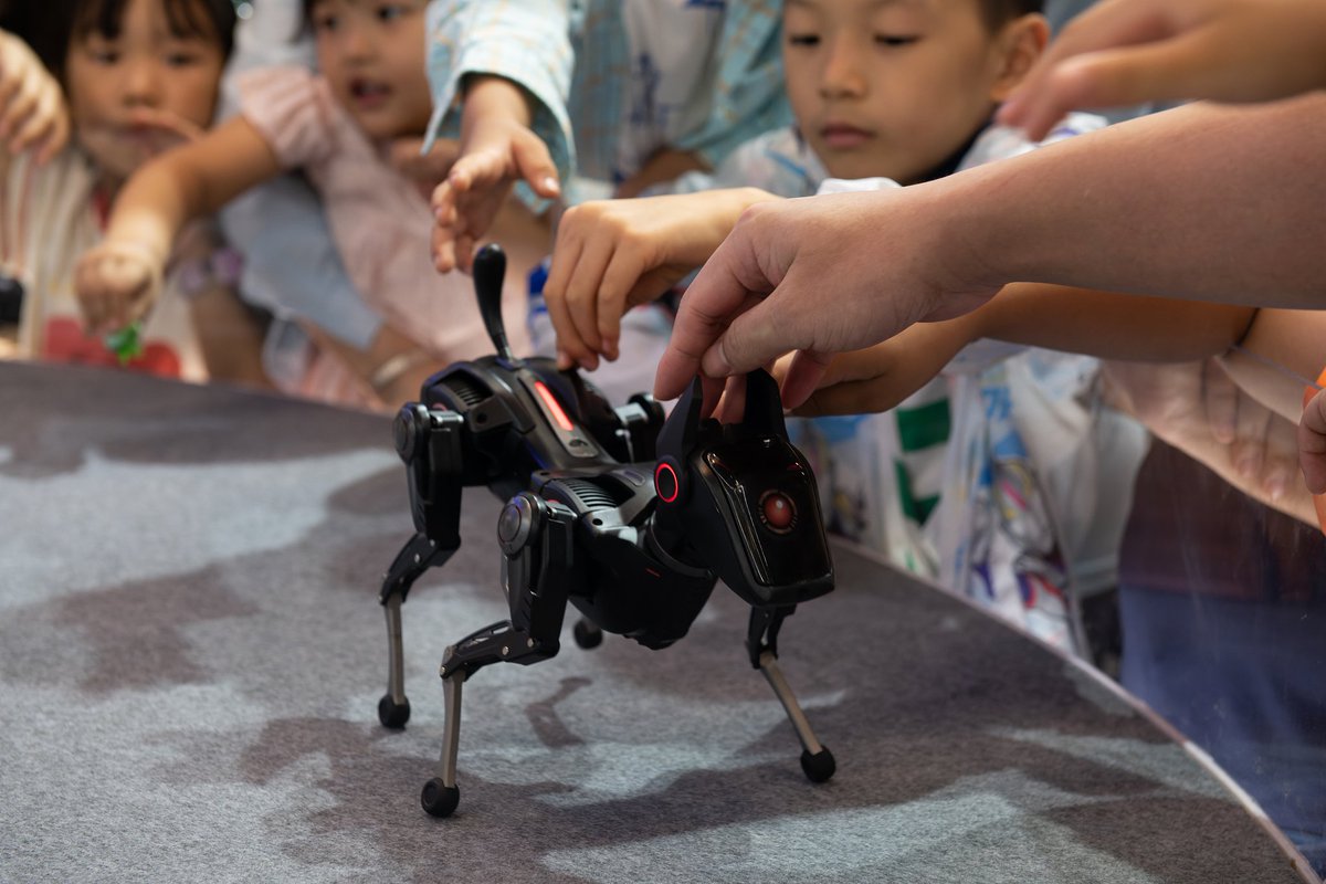 Robot dogs and humanoids stole the show at the 2025 World Smart Industry Expo in #Chongqing! There were amazing demos of movement, agility and real-world applications. The future of robotics is here. #ChinaSeen #AI #Robotics